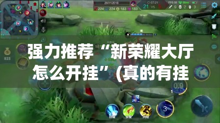 强力推荐“新荣耀大厅怎么开挂”(真的有挂)辅助透视教程
