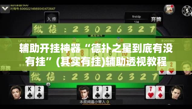 辅助开挂神器“德扑之星到底有没有挂”(其实有挂)辅助透视教程