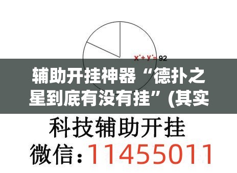 辅助开挂神器“德扑之星到底有没有挂”(其实有挂)辅助透视教程