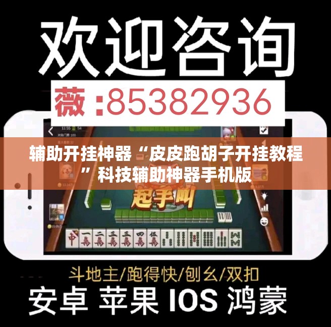 辅助开挂神器“皮皮跑胡子开挂教程”科技辅助神器手机版