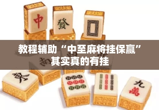 教程辅助“中至麻将挂保赢”其实真的有挂