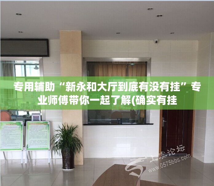 专用辅助“新永和大厅到底有没有挂”专业师傅带你一起了解(确实有挂