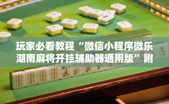 专用辅助“新永和大厅到底有没有挂”专业师傅带你一起了解(确实有挂