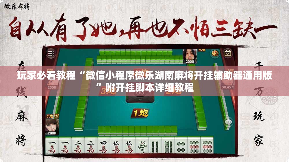 玩家必看教程“微信小程序微乐湖南麻将开挂辅助器通用版”附开挂脚本详细教程